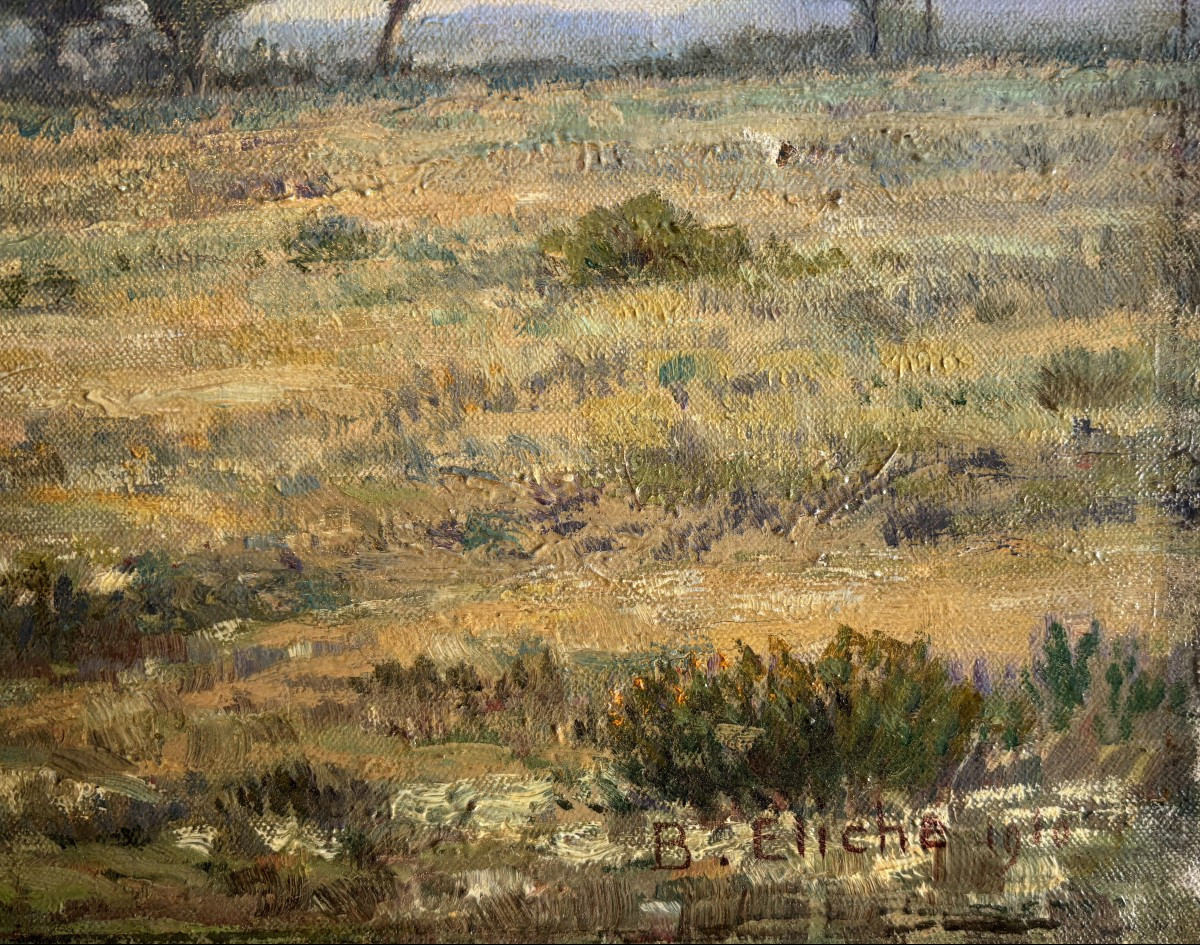 Jean Baptiste Eliche (né en 1866), Paysage aux pins à Hyères, dans le Var, huile sur toile-photo-4
