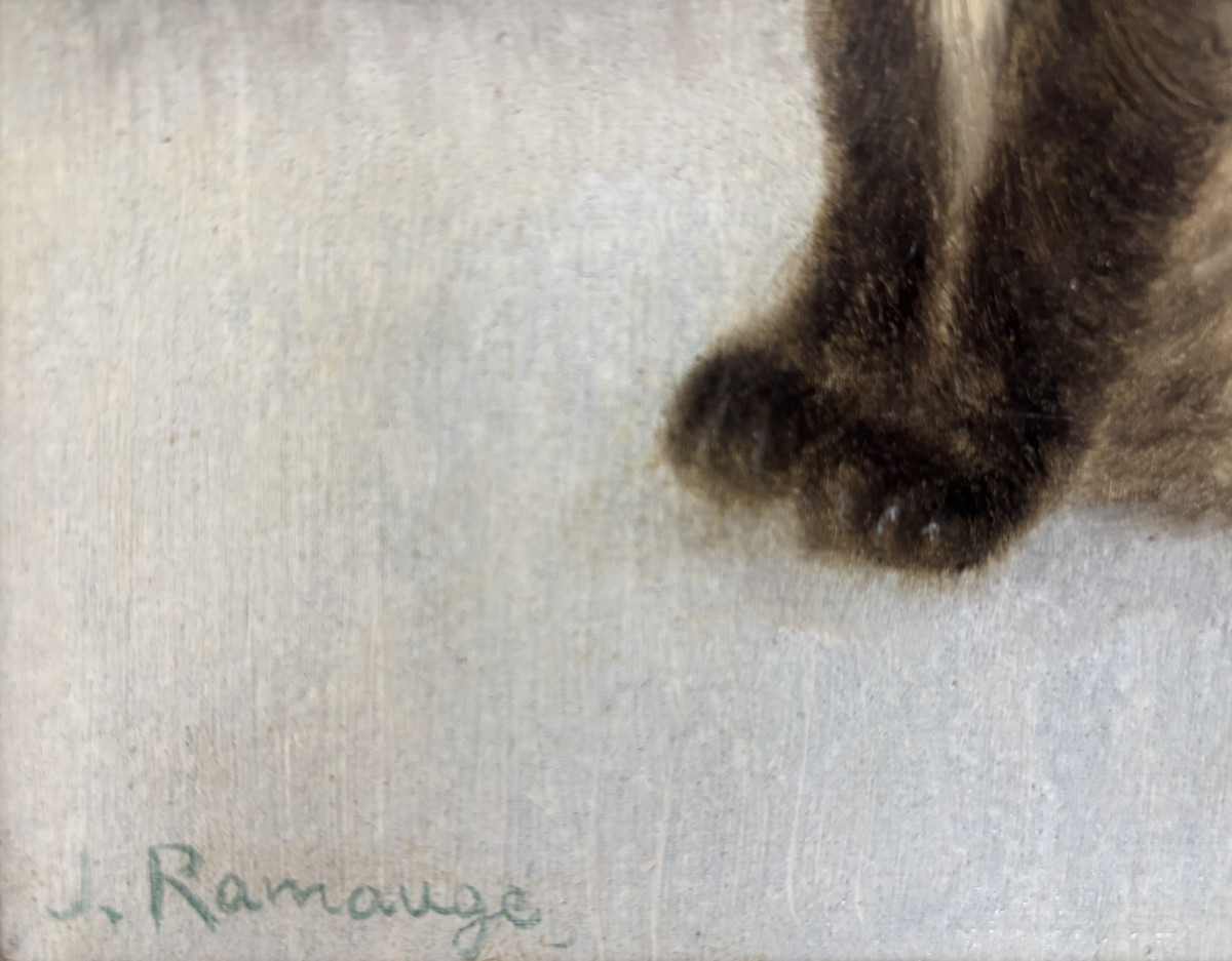J.Ramaugé?, Portrait de Chat Siamois, huile sur carton-photo-4