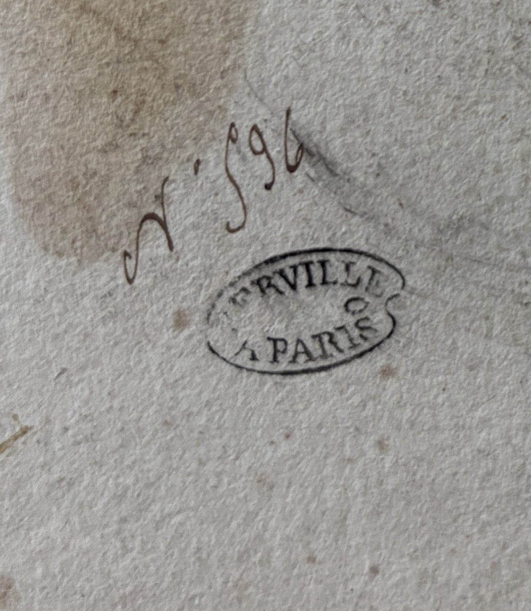 Pierre Girard (paris 1806-1872), Etude De Plantes : La Molène, Dessin, Lavis Et Aquarelle-photo-1