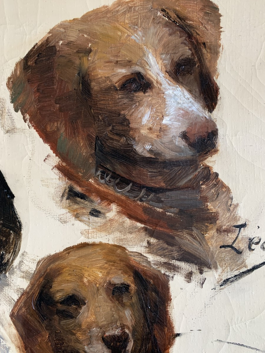 French School, Circa 1900, Portraits/study Of Dogs' Heads, Oil On Canvas-photo-2