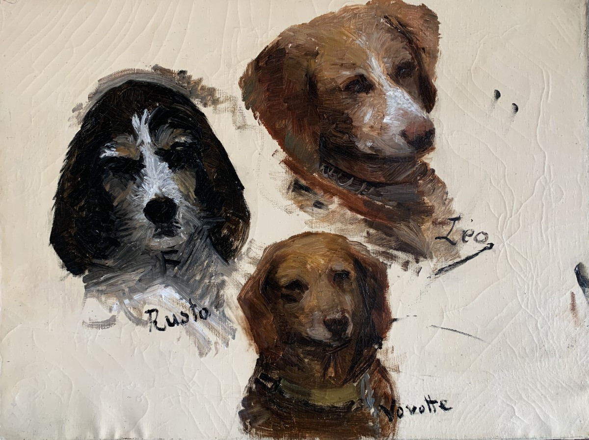 French School, Circa 1900, Portraits/study Of Dogs' Heads, Oil On Canvas