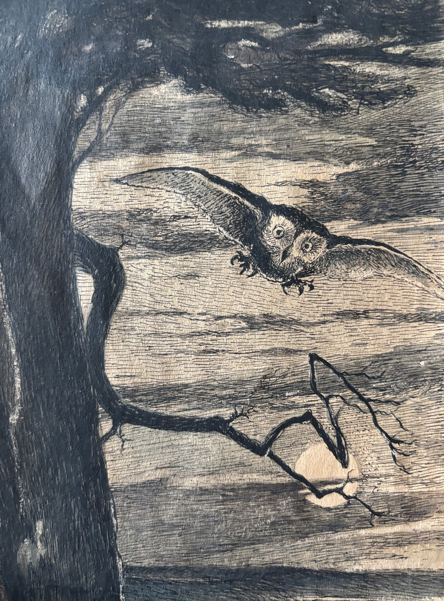 Ecole française début XXe, La chouette, dessin à l'encre et aquarelle-photo-2