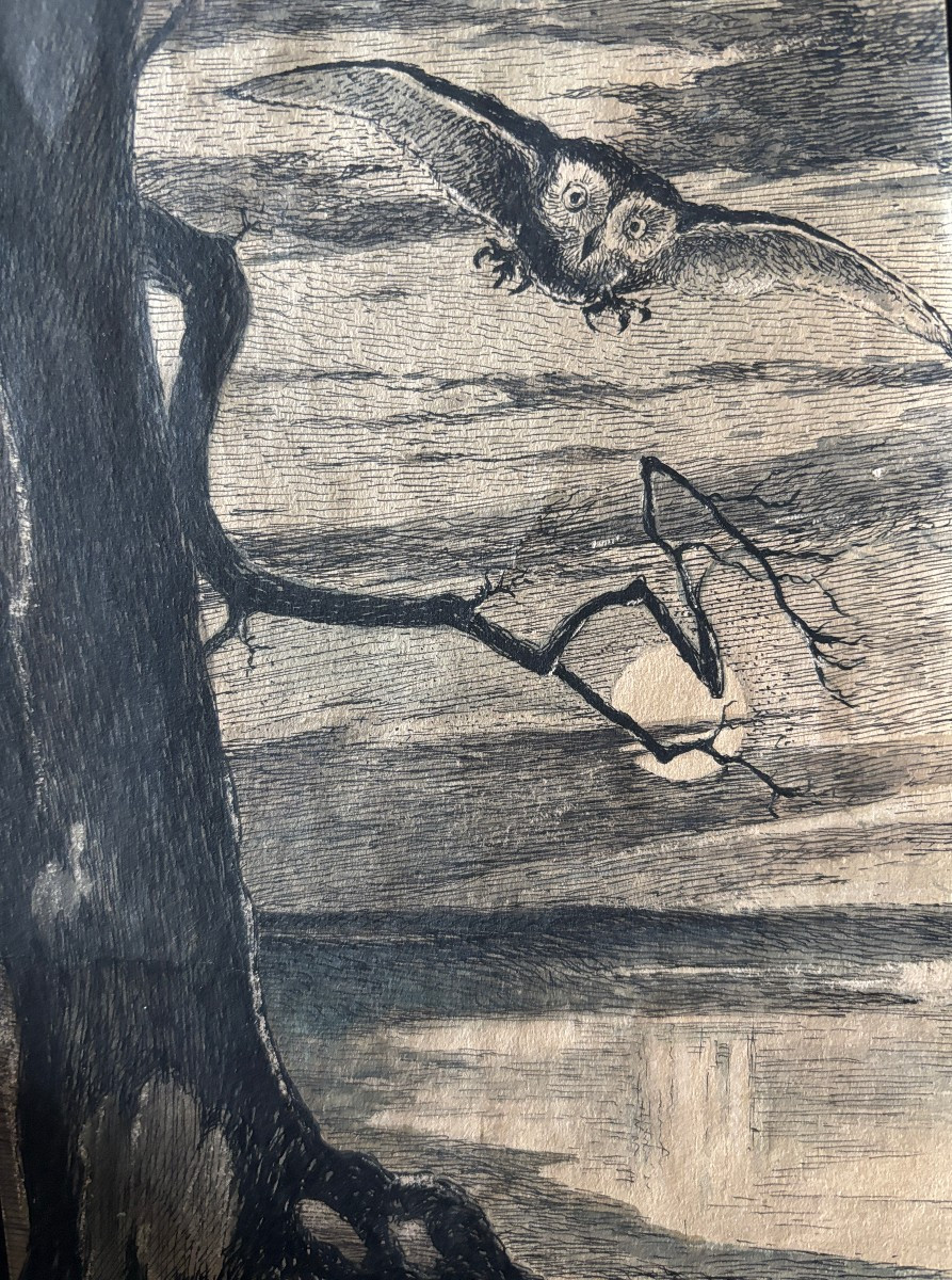 Ecole française début XXe, La chouette, dessin à l'encre et aquarelle-photo-3