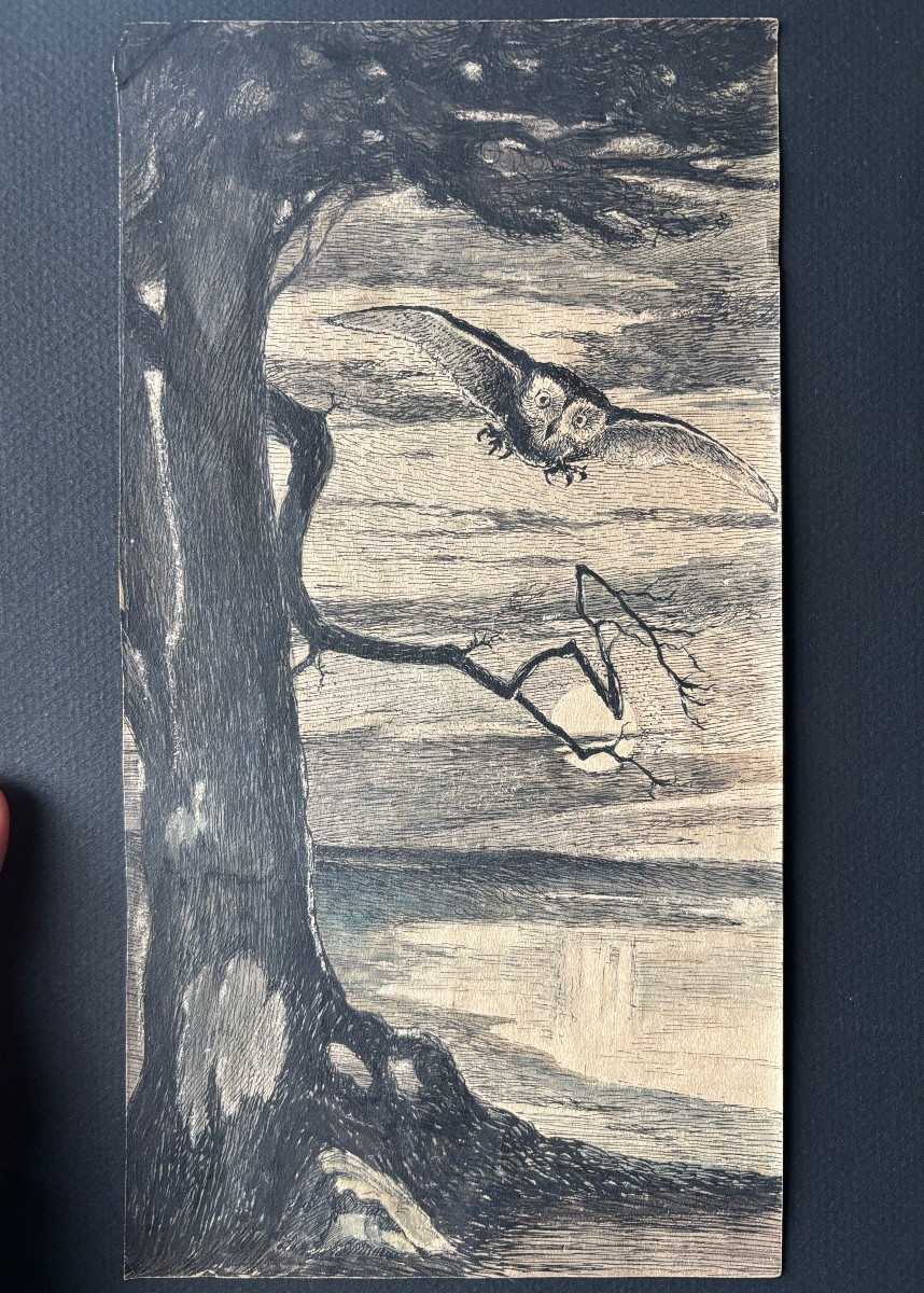 Ecole française début XXe, La chouette, dessin à l'encre et aquarelle-photo-4