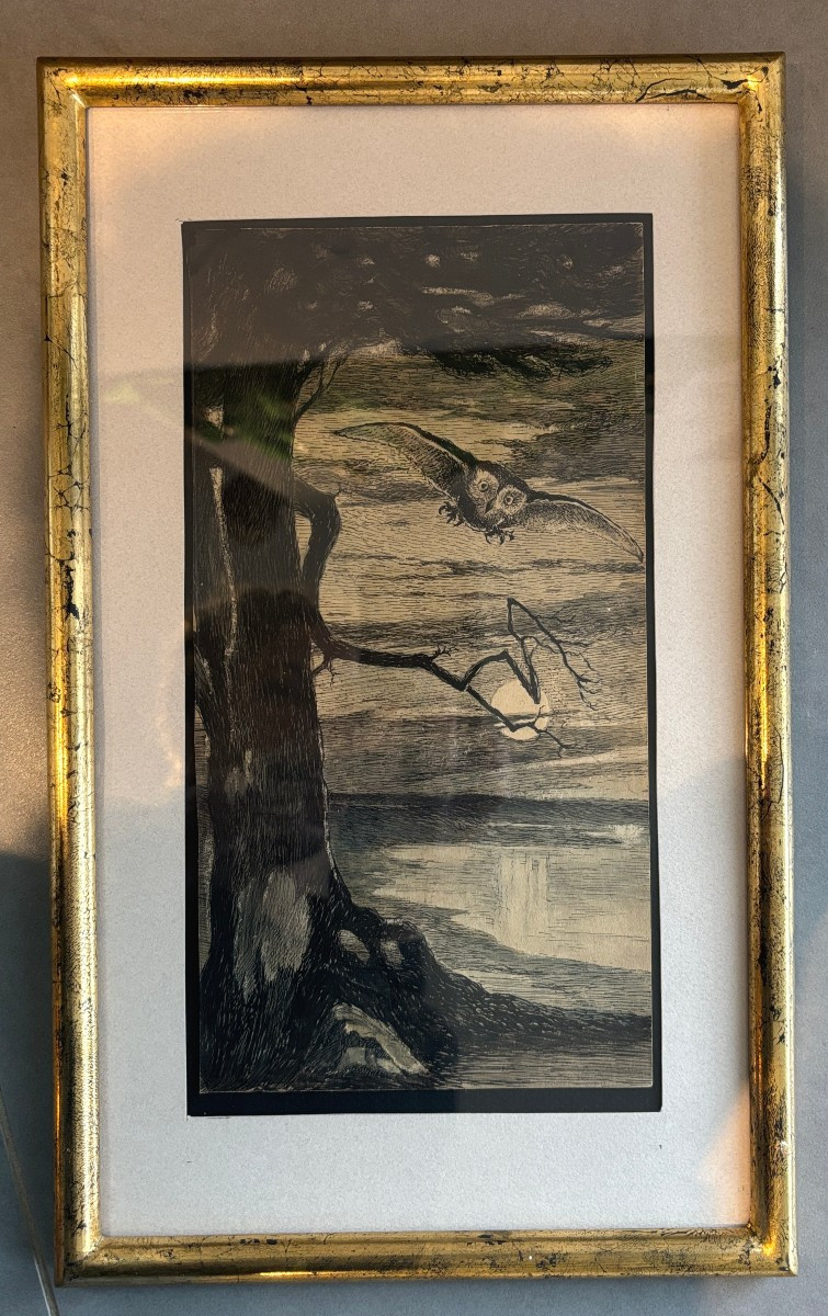 Ecole française début XXe, La chouette, dessin à l'encre et aquarelle-photo-1