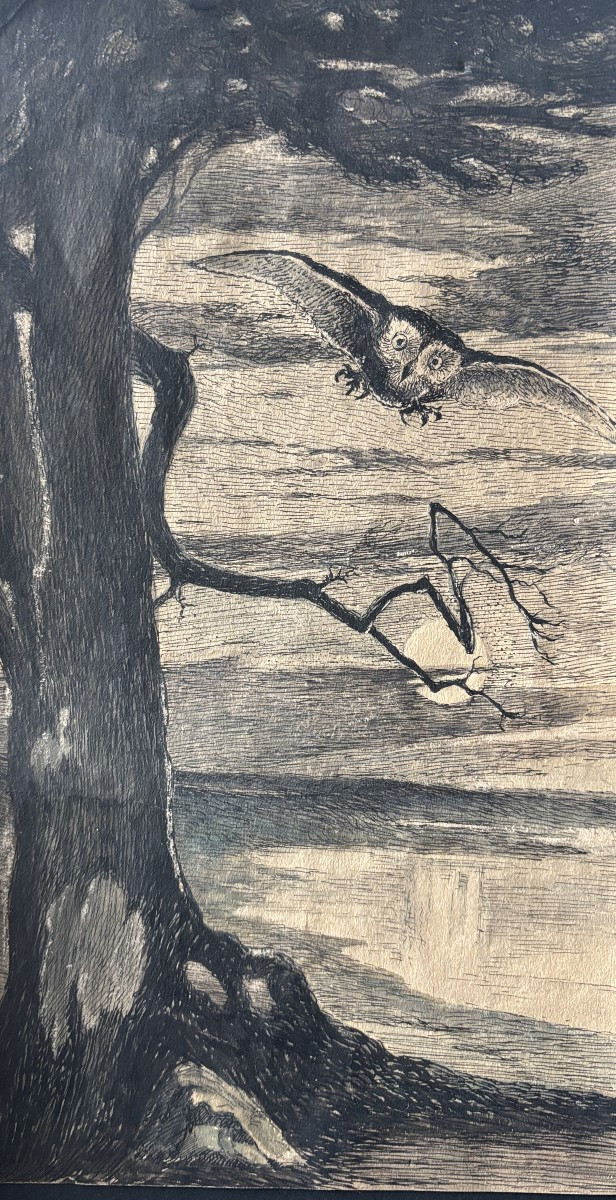 Ecole française début XXe, La chouette, dessin à l'encre et aquarelle