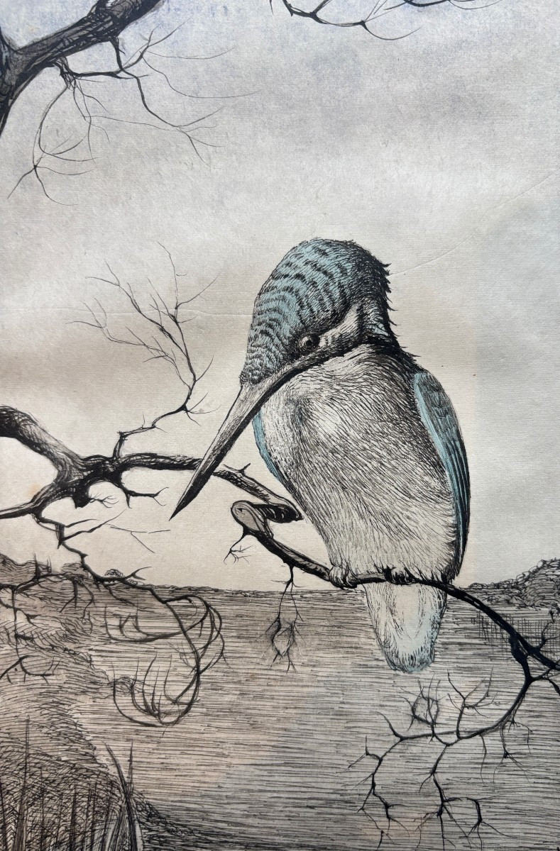 Ecole française du début du XXe siècle, Le martin-pêcheur, dessin à l'encre et aquarelle-photo-2