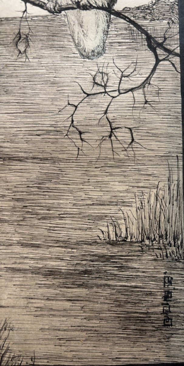 Ecole française du début du XXe siècle, Le martin-pêcheur, dessin à l'encre et aquarelle-photo-4