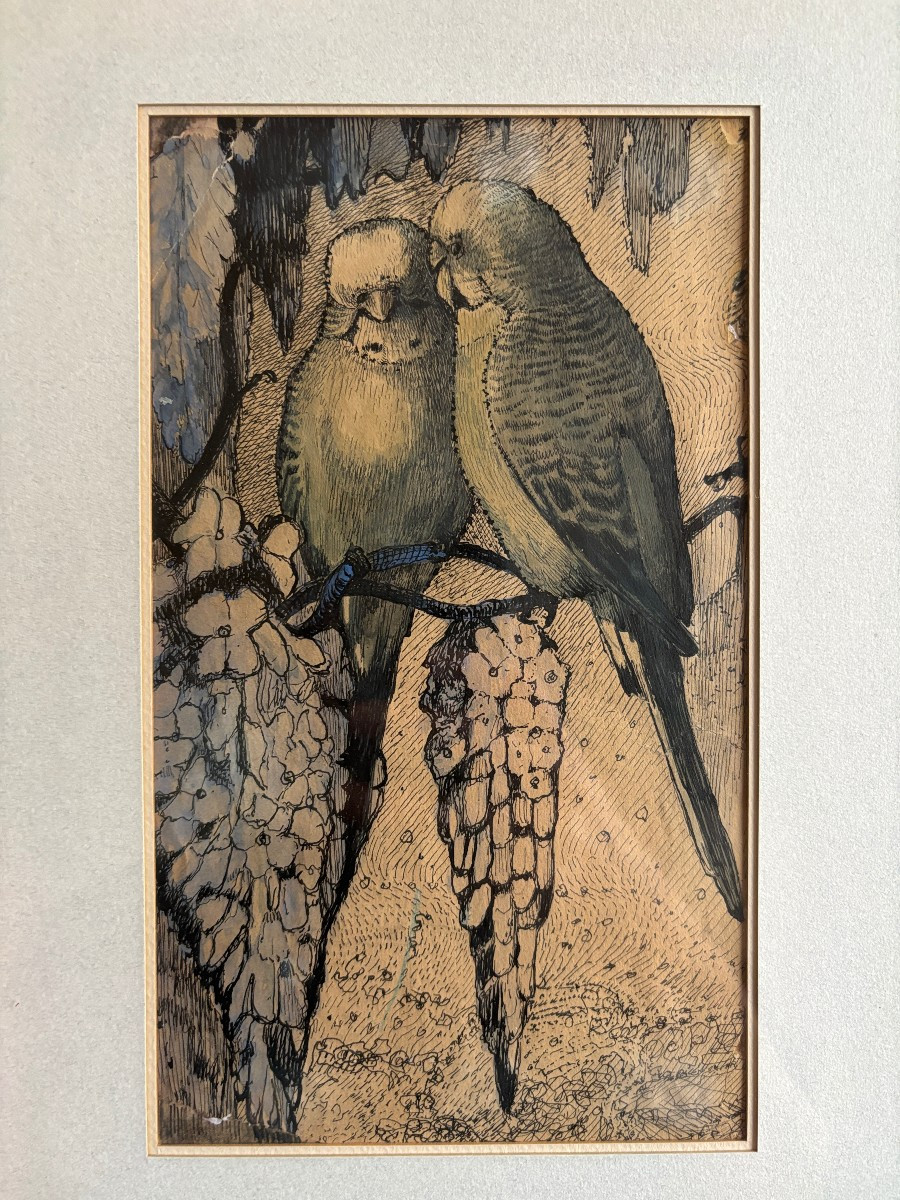 Ecole française du début du XXe siècle, Perruches, dessins. l'encre et aquarelle-photo-4