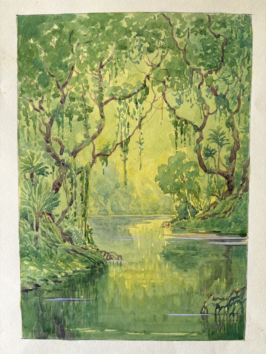 André Morisset (1876-1954) , La mangrove ou Forêt tropicale, Dessin, Aquarelle-photo-2
