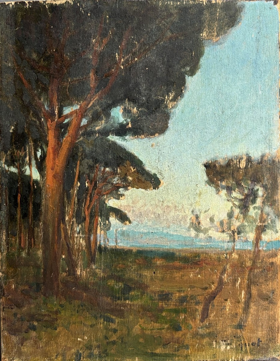 Jules Octave Triquet (1867-1914), Landscape With Pines At Cannes - La Napoule, Oil On Panel