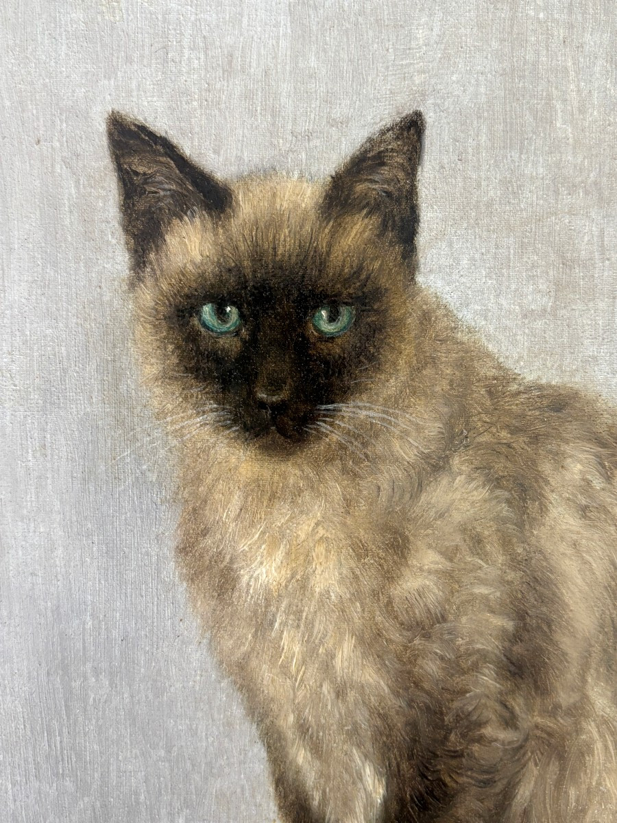 J. Ramaugé?, Portrait Of A Siamese Cat, Oil On Canvas Mounted On Cardboard-photo-2