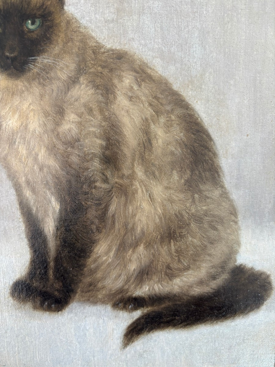J. Ramaugé?, Portrait Of A Siamese Cat, Oil On Canvas Mounted On Cardboard-photo-3
