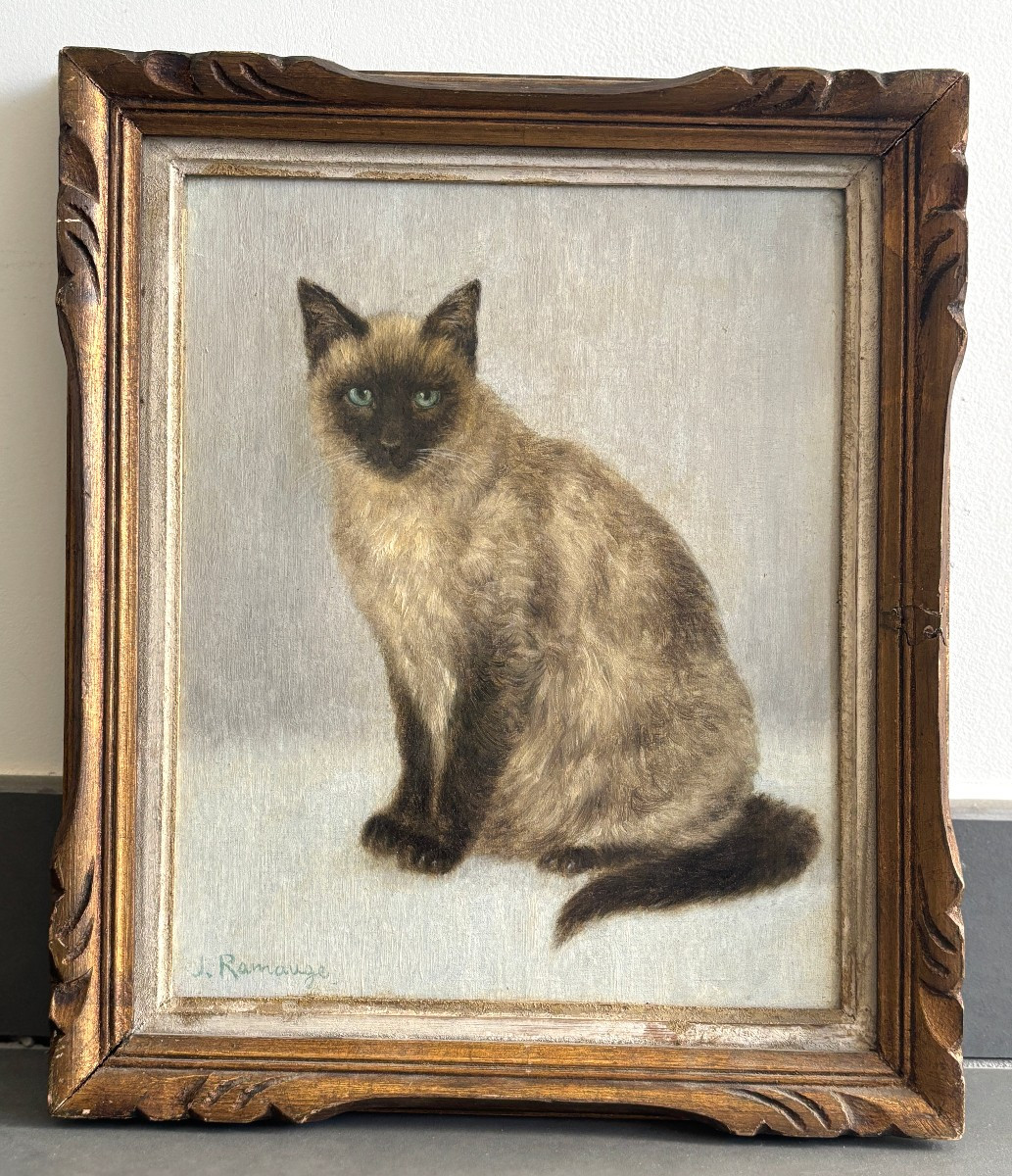 J. Ramaugé?, Portrait Of A Siamese Cat, Oil On Canvas Mounted On Cardboard-photo-1