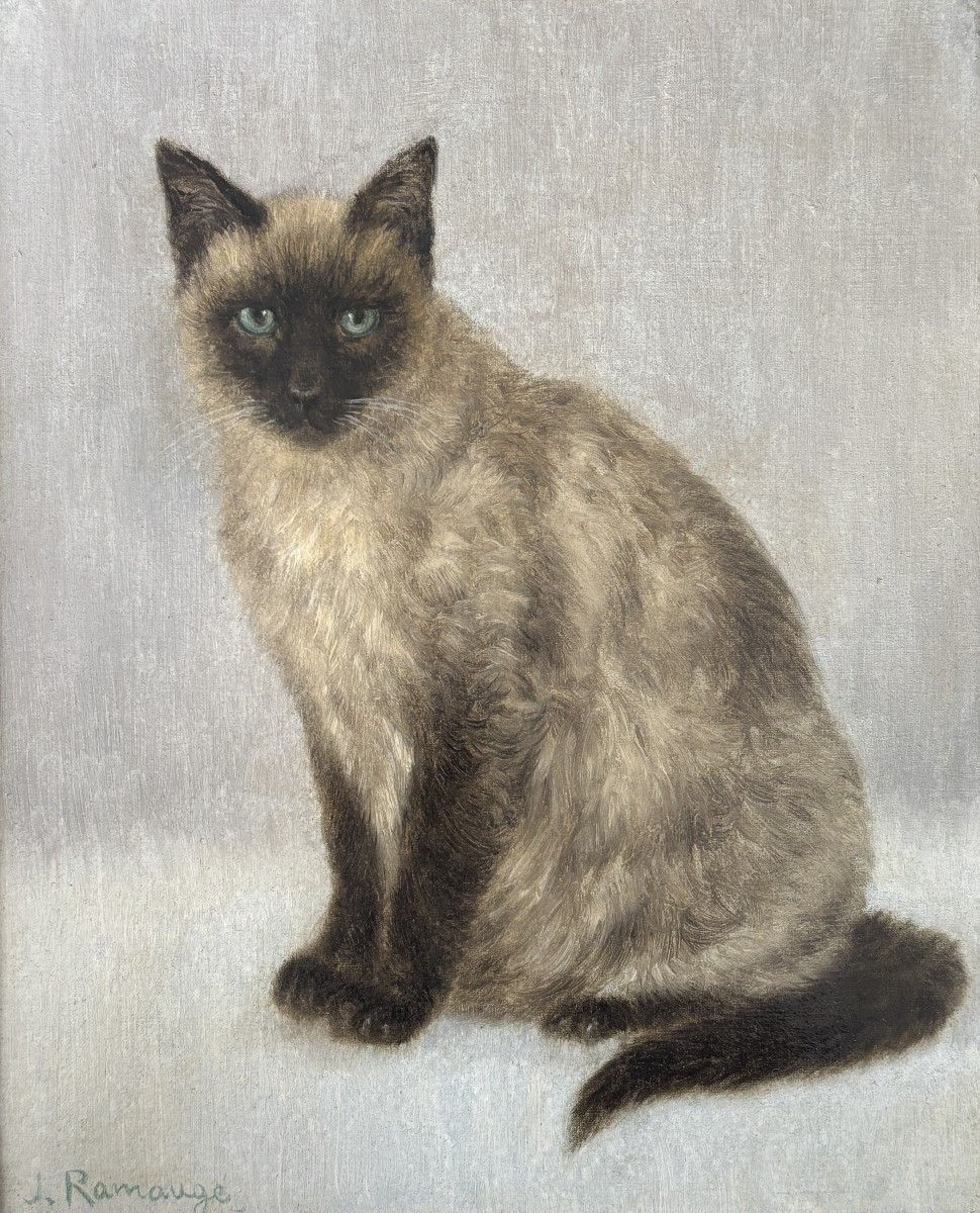 J. Ramaugé?, Portrait Of A Siamese Cat, Oil On Canvas Mounted On Cardboard