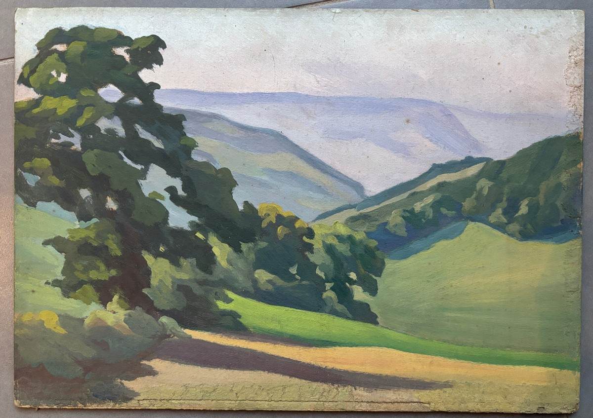 Meulien-Verez? Ecole française début XXe, Paysage arboré , huile sur carton-photo-2