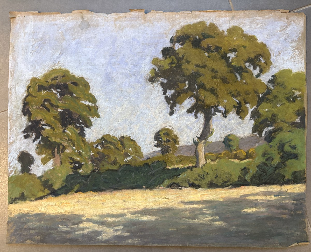 Meulien-Verez? Ecole française début XXe, Paysage arboré , dessin au pastel-photo-2