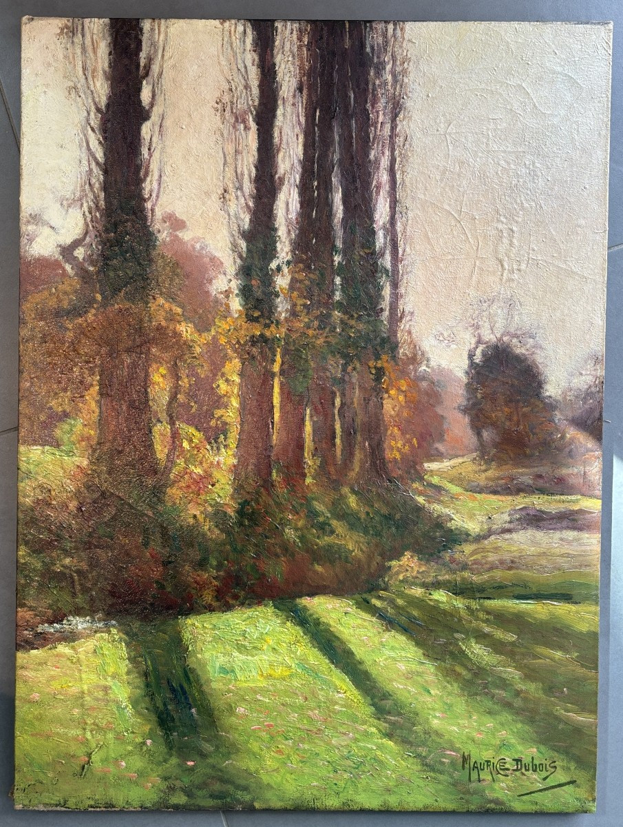Maurice Dubois (Bordeaux 1869-Preignac 1944), Paysage : Peupliers d'Italie, huile sur toile-photo-4