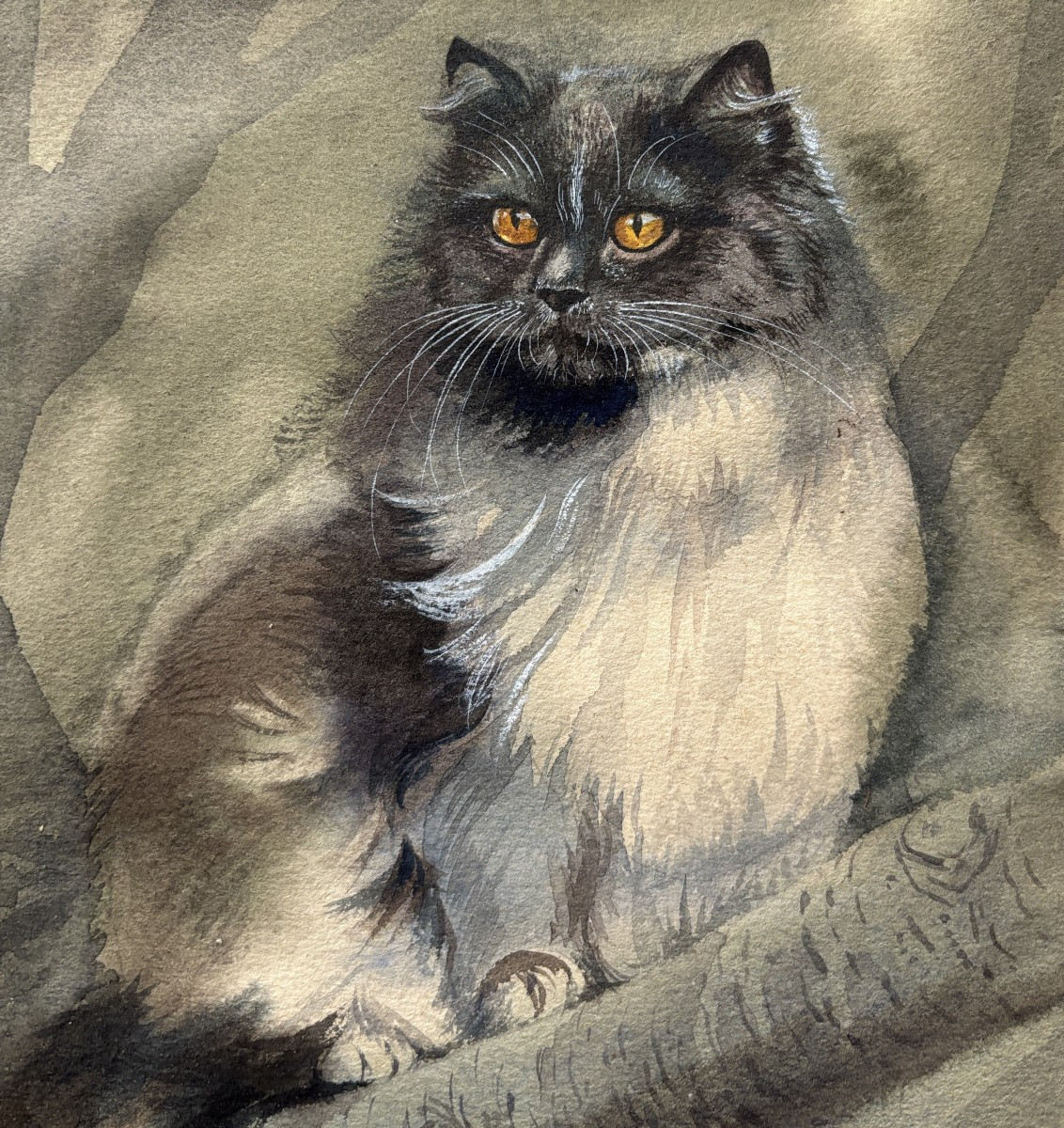 Attribué à Albert-Antoine Lambert (1854-1925), Portrait de chat Persan?, aquarelle, dessin-photo-2