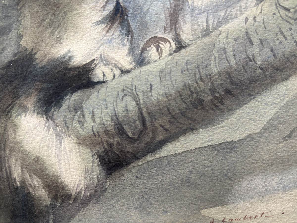Attribué à Albert-Antoine Lambert (1854-1925), Portrait de chat Persan?, aquarelle, dessin-photo-4