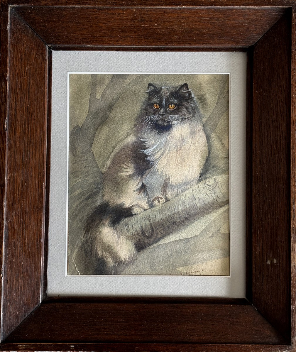 Attribué à Albert-Antoine Lambert (1854-1925), Portrait de chat Persan?, aquarelle, dessin-photo-2