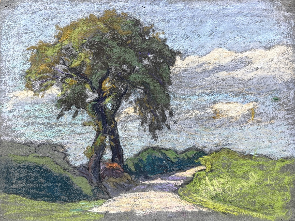 Meulien-verez? Early 20th Century French School, Pair Of Wooded Landscapes, Pastel Drawings-photo-2