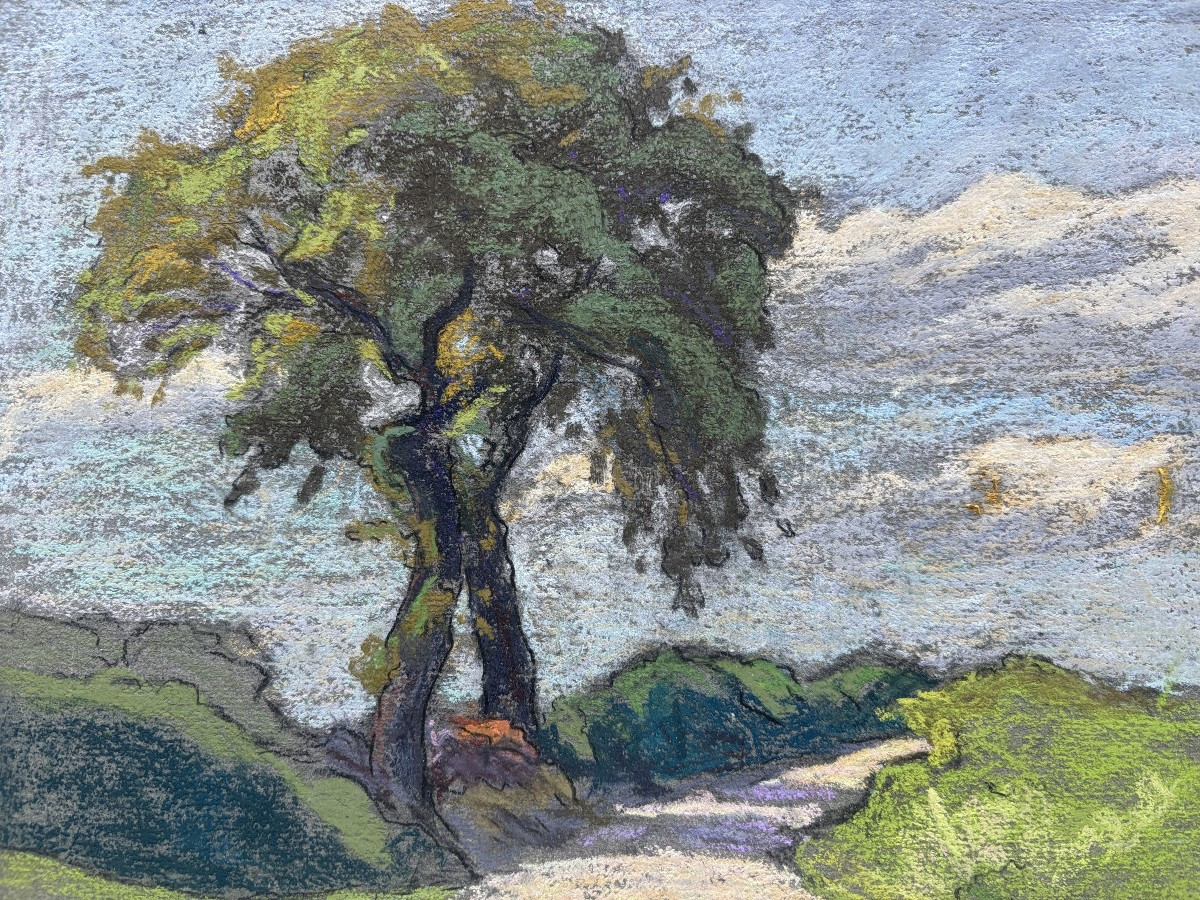 Meulien-verez? Early 20th Century French School, Pair Of Wooded Landscapes, Pastel Drawings-photo-3
