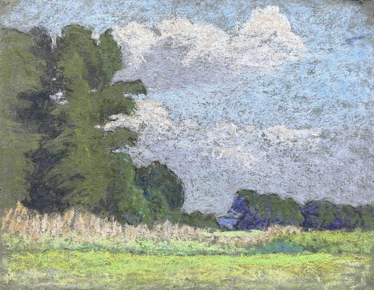 Meulien-verez? Early 20th Century French School, Pair Of Wooded Landscapes, Pastel Drawings-photo-4
