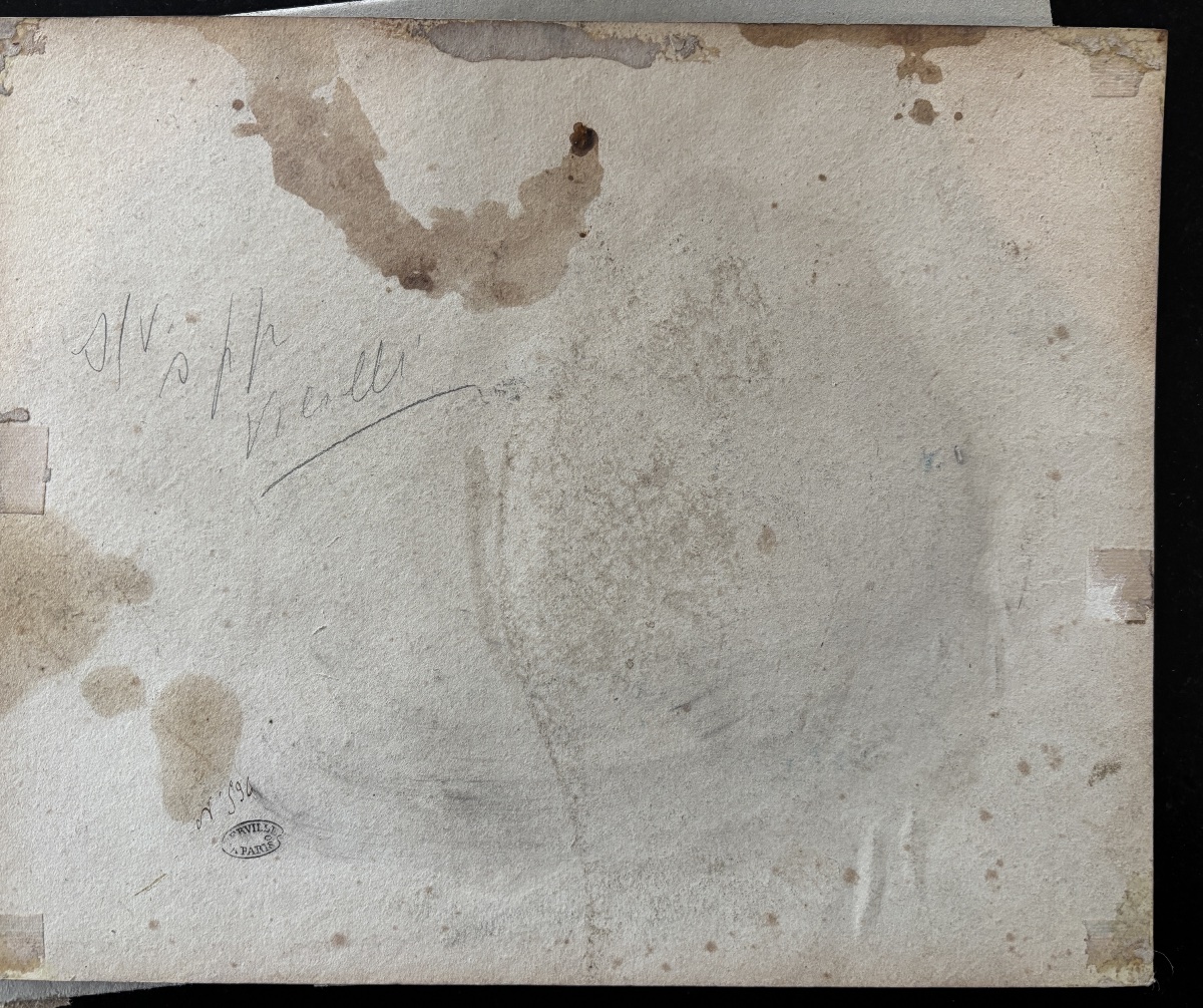 Pierre Girard (1806-1872), Étude de plante: la Molène, dessin-photo-2