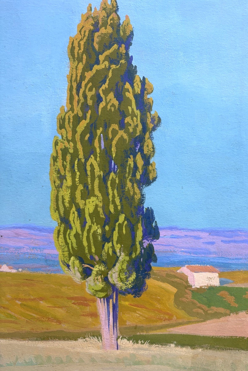 André Morisset (1876-1954), Paysage au Pin, dessin, gouache-photo-3