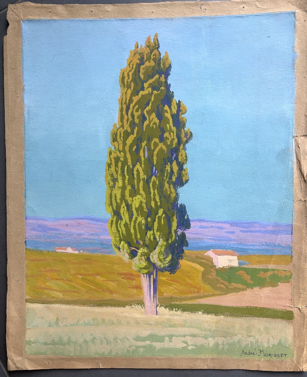 André Morisset (1876-1954), Paysage au Pin, dessin, gouache-photo-4