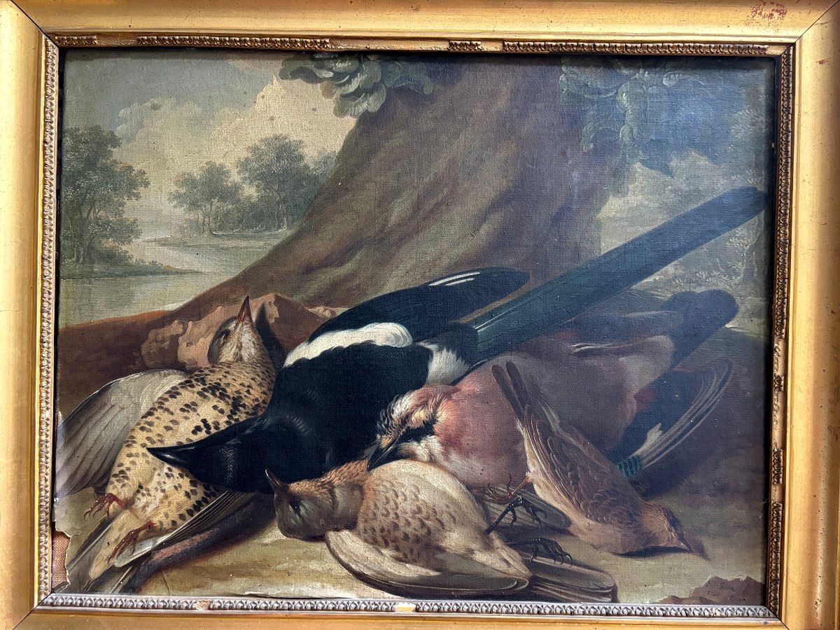Franz Stöber (vienna, 1760–speyer, 1834), Still Life With Hunted Birds, Oil On Paper, 1785-photo-3