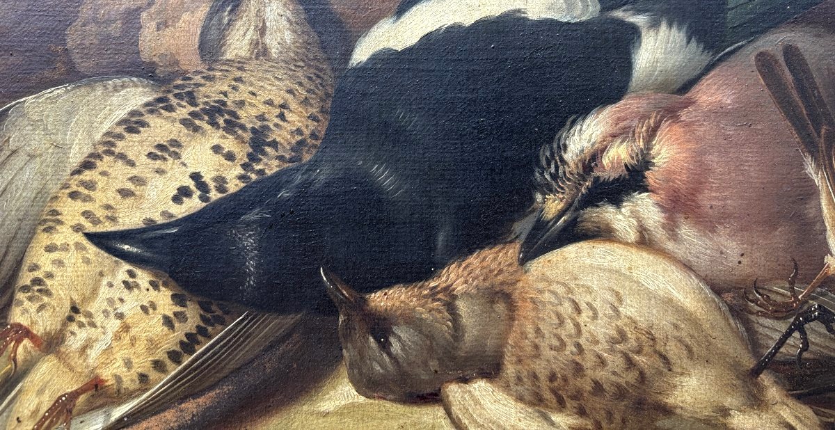 Franz Stöber (vienna, 1760–speyer, 1834), Still Life With Hunted Birds, Oil On Paper, 1785-photo-2
