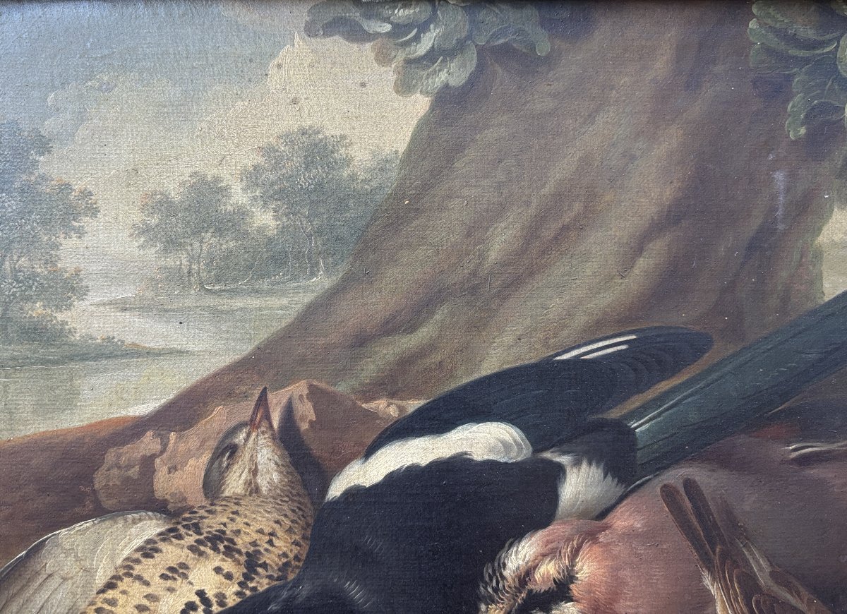 Franz Stöber (vienna, 1760–speyer, 1834), Still Life With Hunted Birds, Oil On Paper, 1785-photo-3