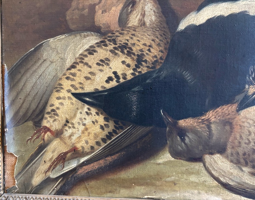 Franz Stöber (vienna, 1760–speyer, 1834), Still Life With Hunted Birds, Oil On Paper, 1785-photo-4
