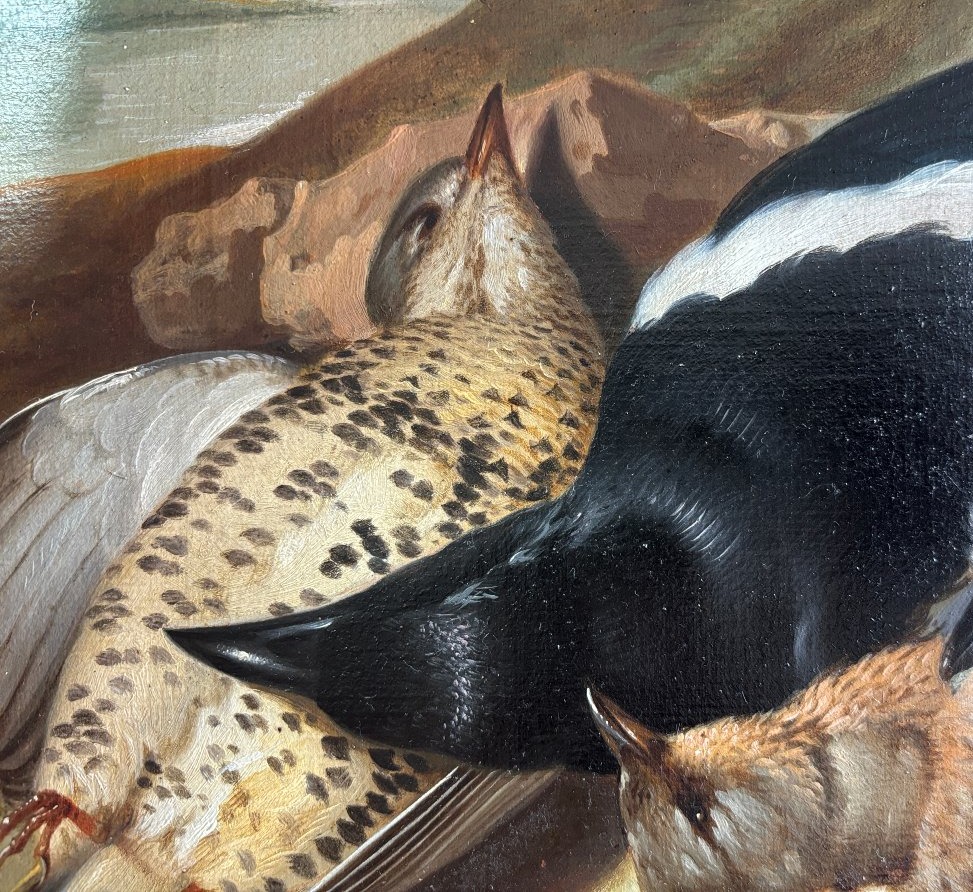 Franz Stöber (Vienne 1760- Spire1834), Nature morte aux oiseaux chassés, huile sur papier, 1785-photo-2