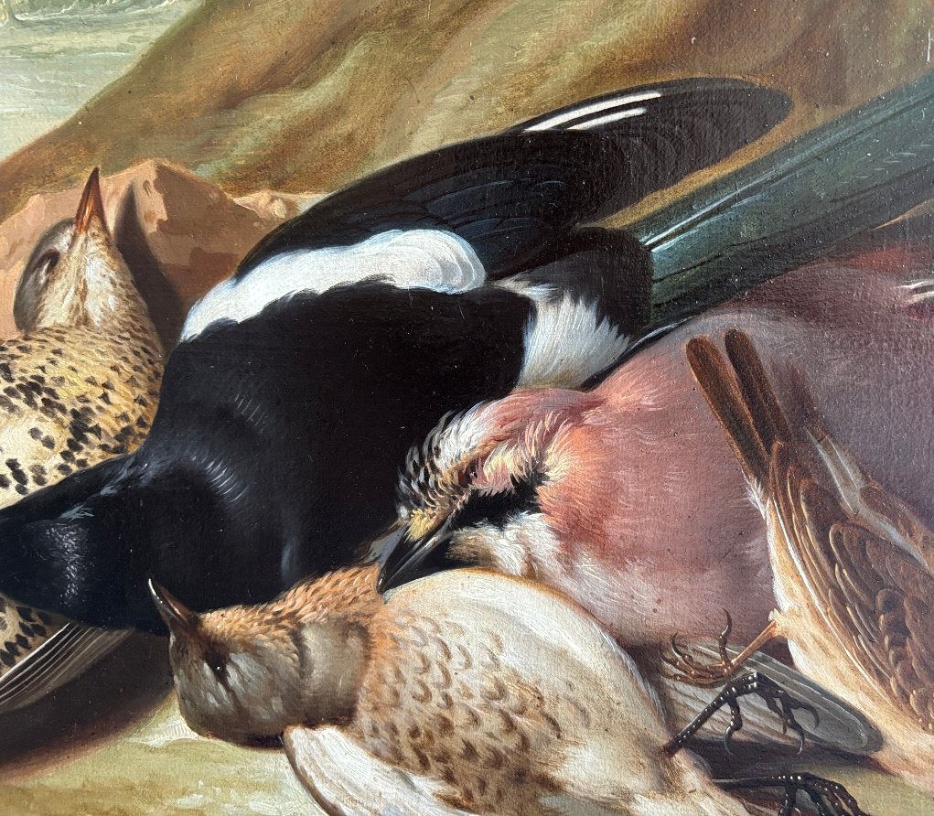 Franz Stöber (Vienne 1760- Spire1834), Nature morte aux oiseaux chassés, huile sur papier, 1785-photo-3