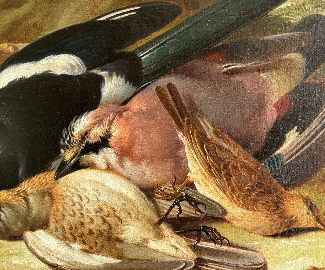 Franz Stöber (Vienne 1760- Spire1834), Nature morte aux oiseaux chassés, huile sur papier, 1785-photo-4