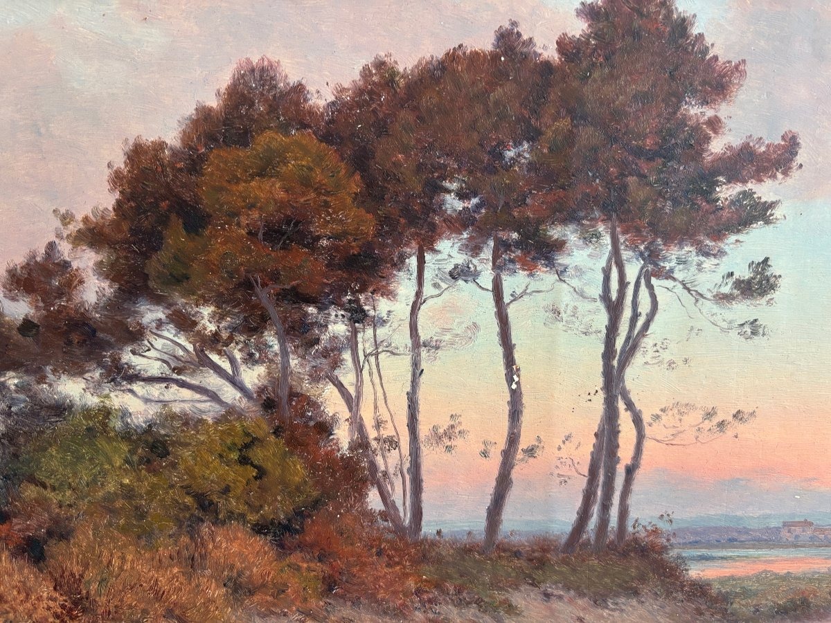 Henri Besiné (1889-1976), Le bosquet de Carnon près de Montpellier, huile -photo-2