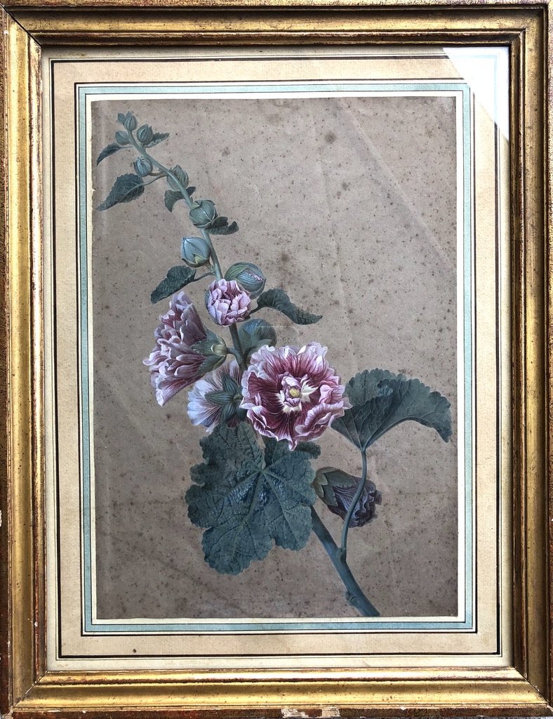 Gérard Van Spaendonck (1746-1822) (entourage Of), Study Of Hollyhocks, Gouache On Paper-photo-4