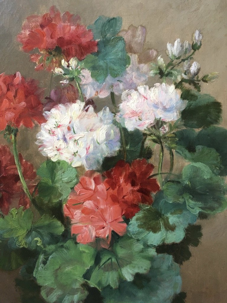 Attributed To Henri Eugène Cauchois (1850-1911), Bouquet Of Geraniums, Flowers, Oil On Canvas-photo-3