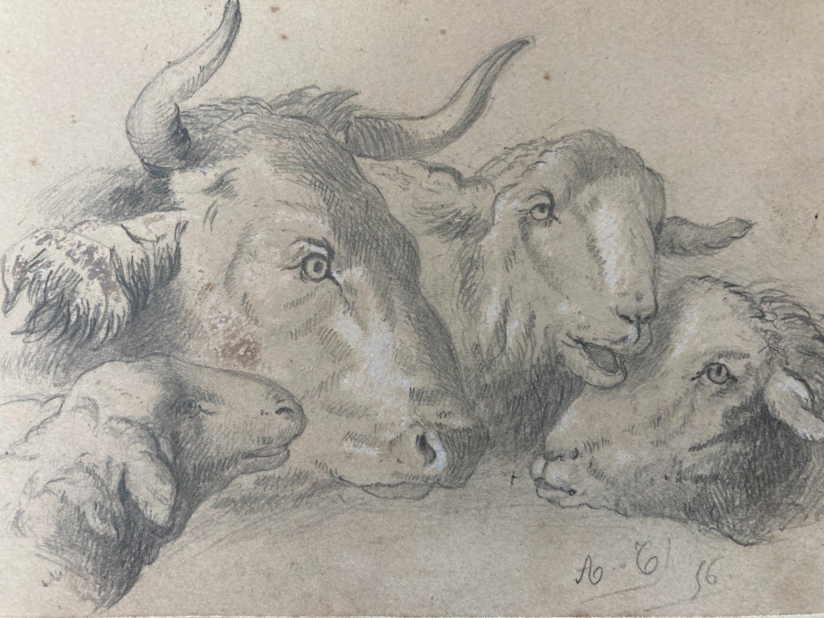 Alexandre Calame (1810-1864), Ensemble De Trois Dessins Au Crayon: études d'Animaux, 1856