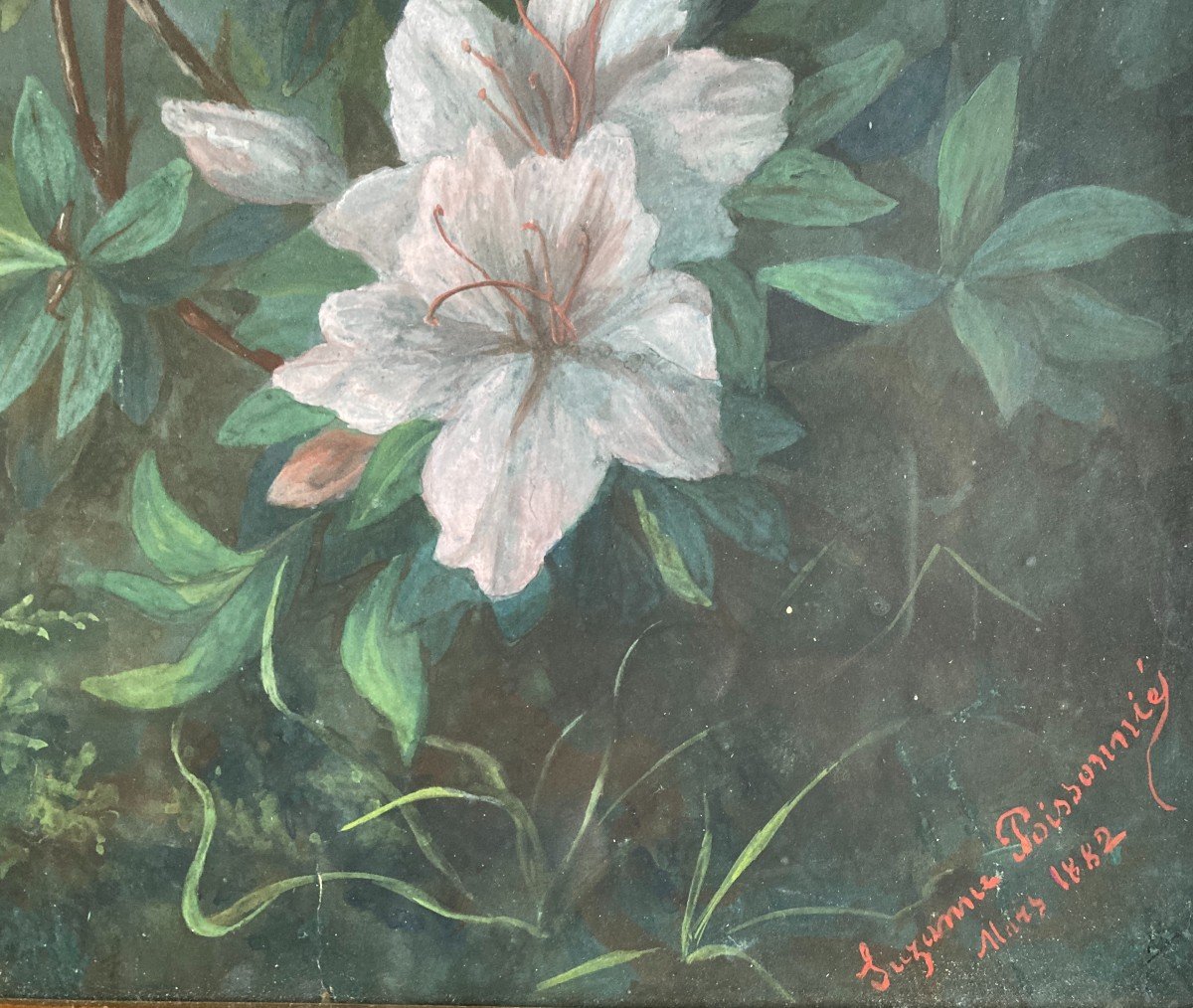 Suzanne Poissonnié (xixe), Nature Morte Aux Fleurs: Amaryllis, Gouache Sur Papier-photo-1