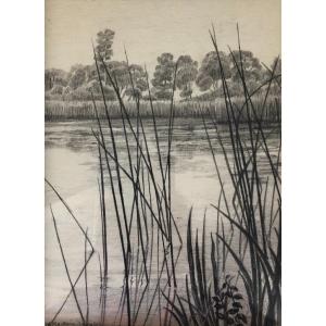 Marguerite Mackain-langlois (1896-1979), Pond In Sologne, Charcoal Drawing