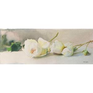 Ruth Mercier (act. C. 1880-1915), Jeté De Roses, Fleurs, Aquarelle