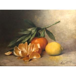 Théodore Charles Ange Coquelin (xxe), Nature Morte Aux Agrumes: Citron Et Clémentine, Huile