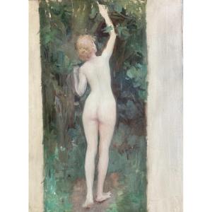 French School Circa 1900, Big Study Of A Nude Woman From The Back: Sketch, Oil On Canvas