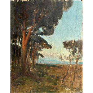 Jules Octave Triquet (1867-1914), Landscape With Pines At Cannes - La Napoule, Oil On Panel