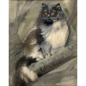 Attribué à Albert-Antoine Lambert (1854-1925), Portrait de chat Persan?, aquarelle, dessin