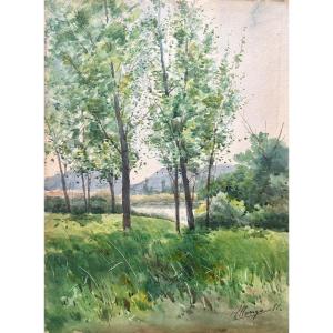Auguste Allongé (1833-1898), Paysage aux arbres en bord de rivière, aquarelle, 1882